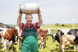 Farmer braces milk jug in front of his cows