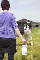 Woman with household milk jug in front of the cows