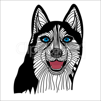 Dog husky head vector Graphics