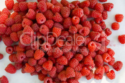 Raspberry fruit background