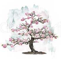 Pink Blossoming Tree