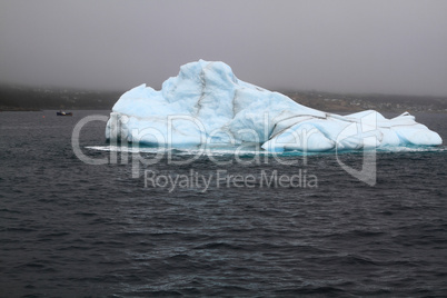 Iceberg in Bay Bulls, Newfoundland in fogy rainy day.