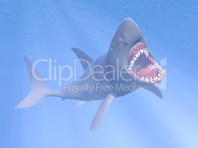 Shark attack - 3D render