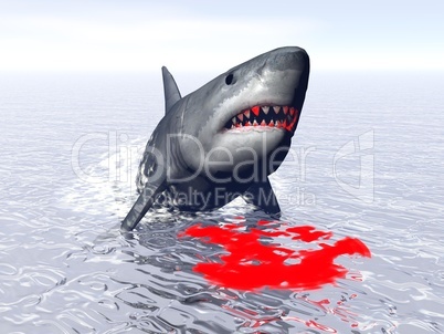 Shark attack - 3D render