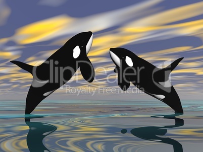 Killer whales jump - 3D render