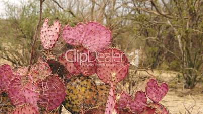 Violet Prickly Pear Cactus Dolly