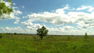 Time lapse of clouds over a green field