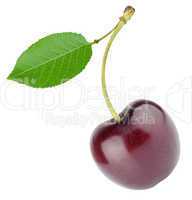 cherry with sheet