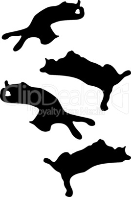 Silhouetten Cat