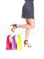 Woman's legs with bag's.