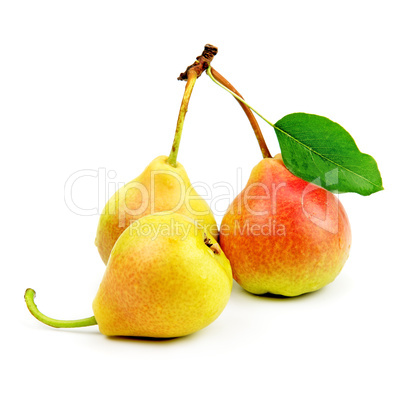 collection pears