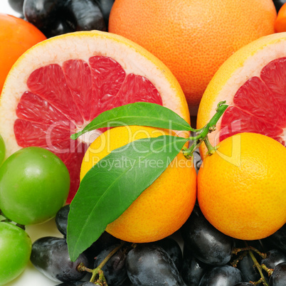 collection fruit background