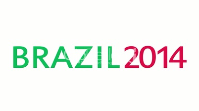 Brazil 2014 Tournament