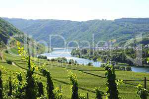 Mosel bei Briedel