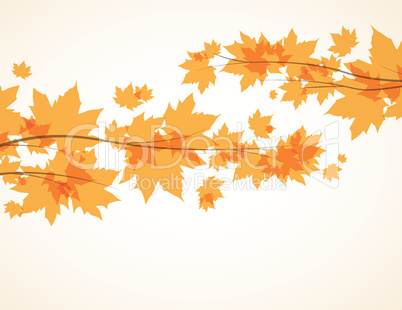 autumn leaves