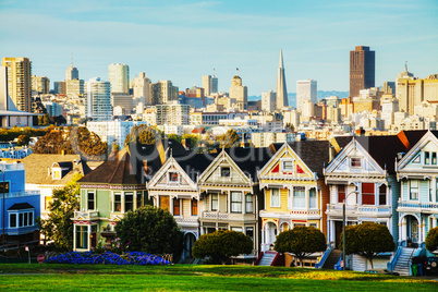 San Francisco cityscape as seen from Alamo square park