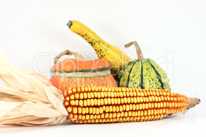 Colorful gourds with maize