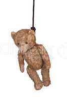 old teddy bear hanging on gibbet