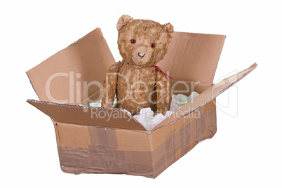 teddy bear in cardboard box