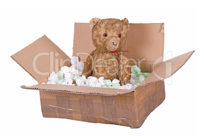 teddy bear in cardboard box