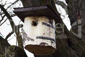 nesting box for birds