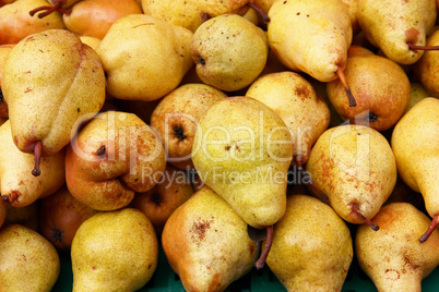 Ripe fresh yellow pears