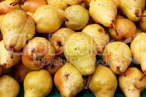 Ripe fresh yellow pears