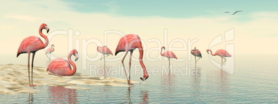Flock of pink flamingos - 3D render