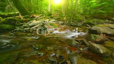 forest stream - slow motion. three clips.