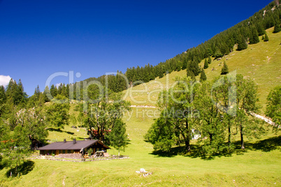 Alm, Brauneck, Haus, Hütte, Holzhütte, Kulisse, Wiese, Berg, Panorama, Idylle, Landschaft, ländlich, Bayern, urig, Oberbayern, Holzhaus, Holzhütte, Haus, Wohnhaus, Alpen, Bauernhof, viehzucht