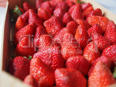 Strawberries fruits