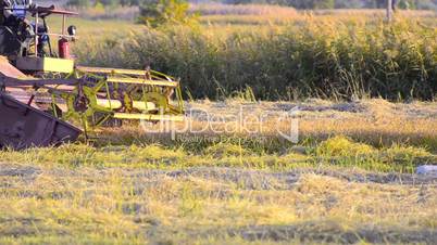 Combine harvester gathers the wheat crop Stock Video Combine takes in a harvest at sunset.