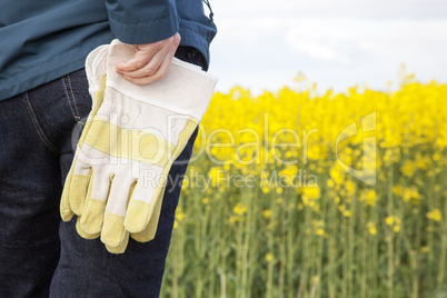 Agricultural engineer with work gloves prior rape field