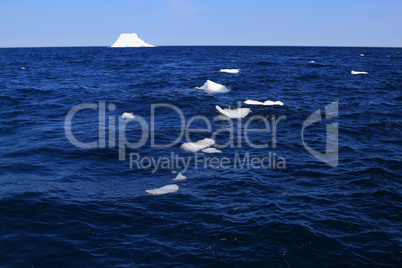 How the Iceberg disappears