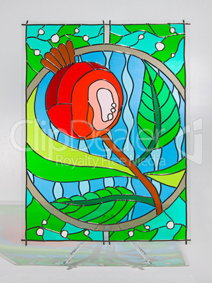 Stained glass - poppy