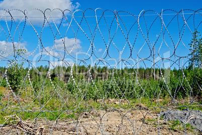Barbed wire fence with blue sky