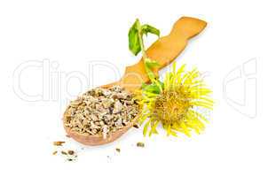 Elecampane root on a spoon with flower