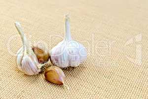 Garlic on a sacking