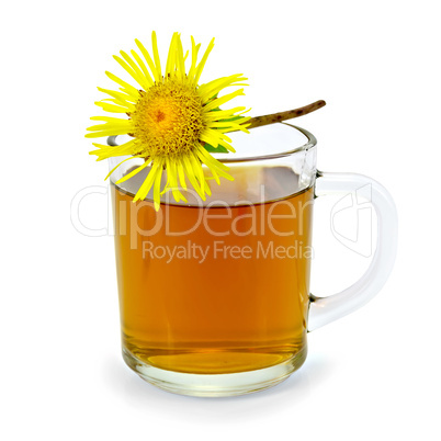 Herbal tea with elecampane in a glass mug