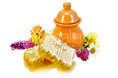Honeycomb with pitcher and flowers