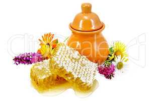 Honeycomb with pitcher and flowers