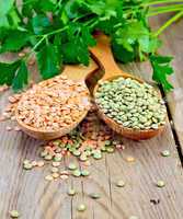 Lentils red and green in spoons with parsley on board