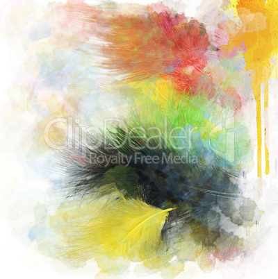 Feathers Abstract Background
