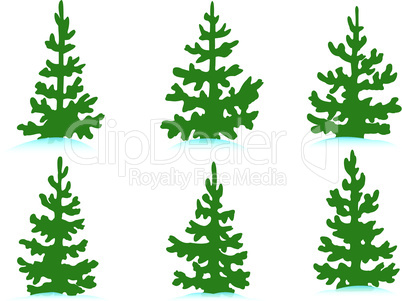 Set of firs