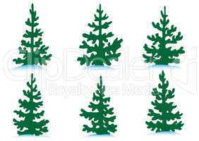 Set of firs