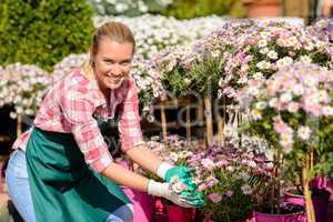 garden center woman daisy potted flowers smiling