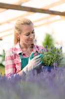 garden center woman with lavender potted flowers