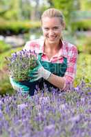 garden center woman with lavender potted flowers