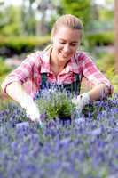 garden center woman in lavender flowerbed smiling