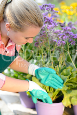 garden center woman planting purple potted flowers